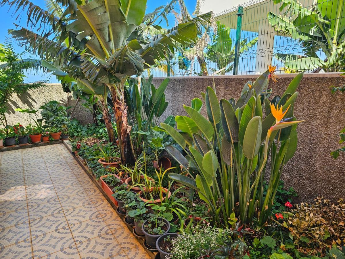 Casa De Feria Do Livramento Villa Funchal  Kültér fotó